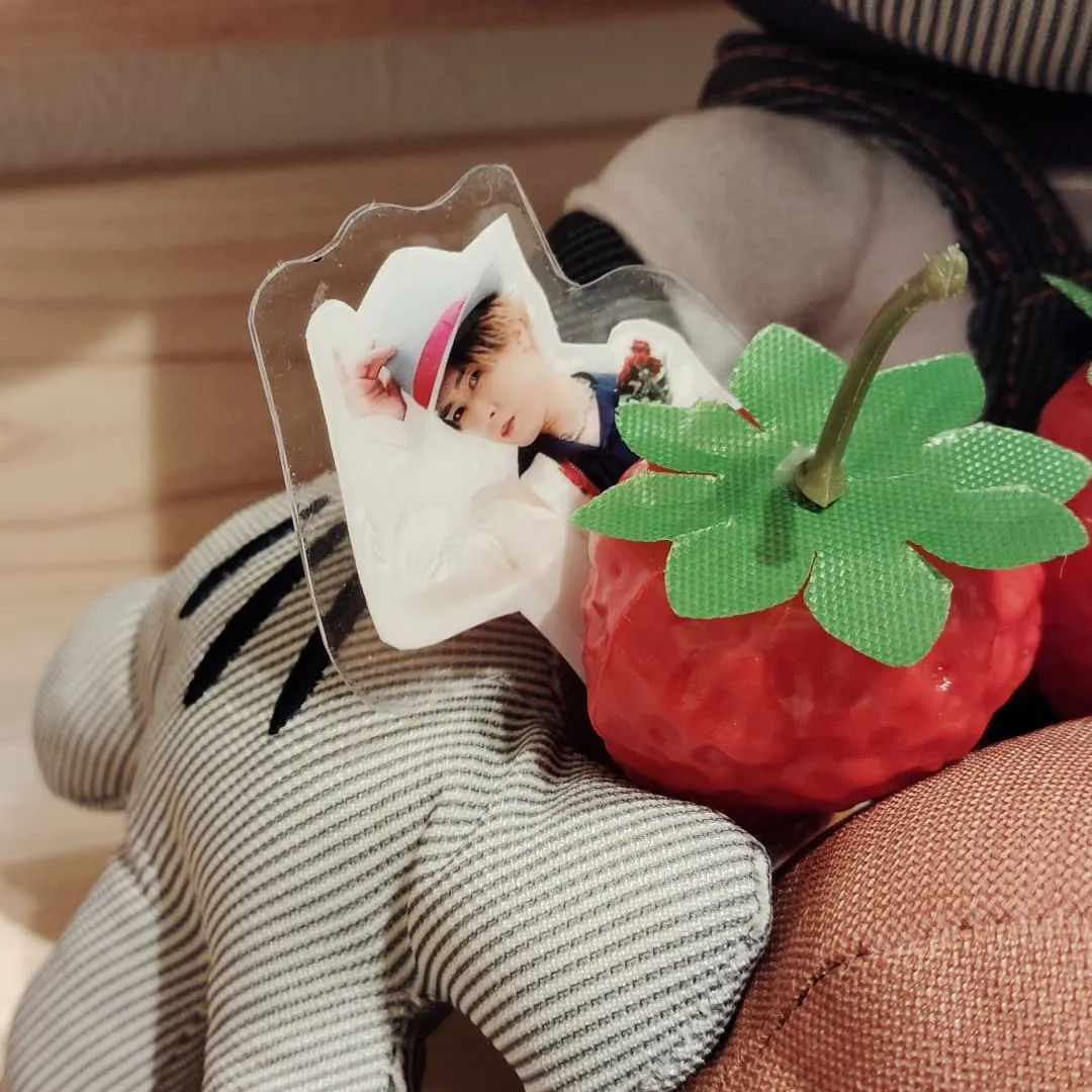 ５月の玄関掲示！