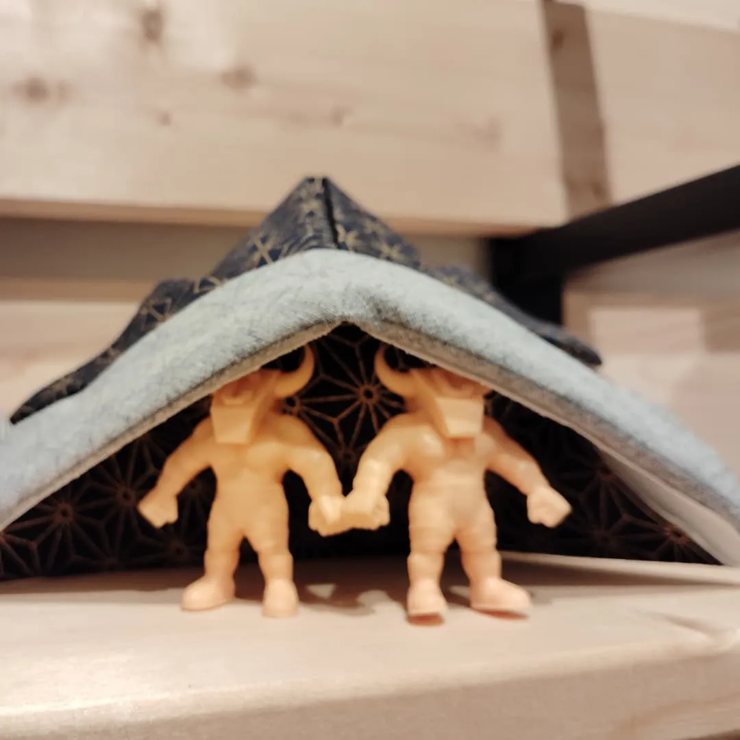 ５月の玄関掲示！